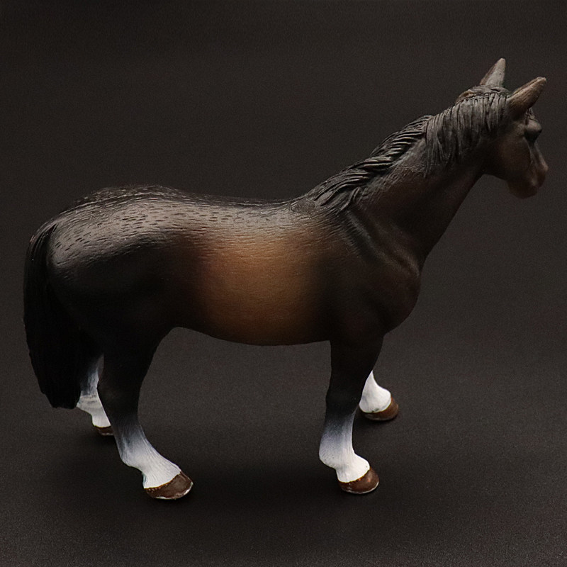 Clydesdale Hanoverian Quatema  - Kids First Education incelemesi ve fiyatı